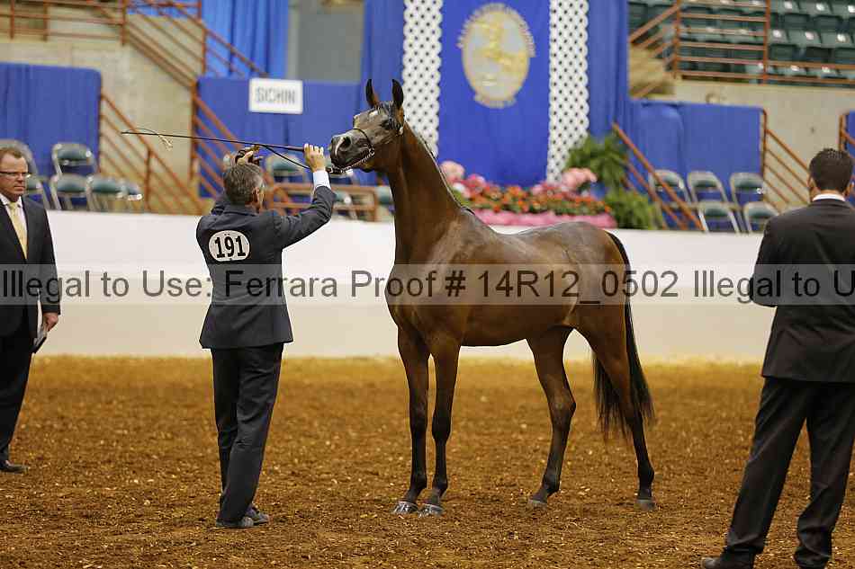 Proof 14r12_0502