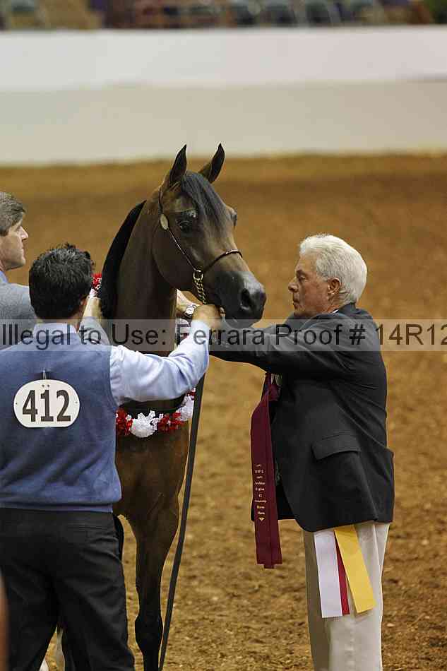 Proof 14r12_0504