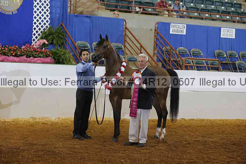 Proof 14r12_0507