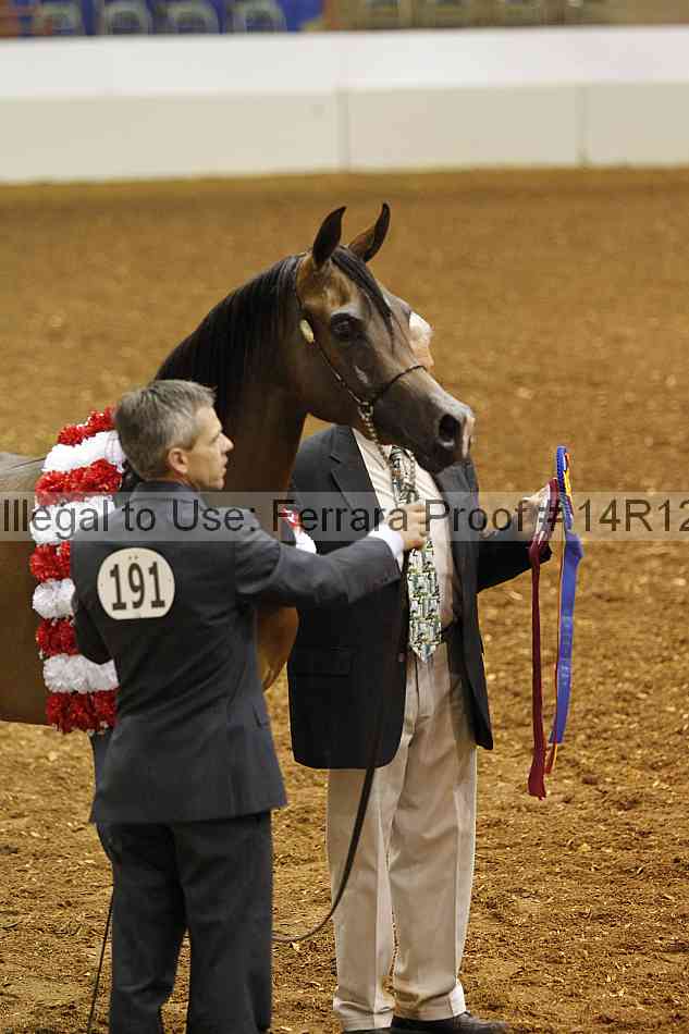 Proof 14r12_0508