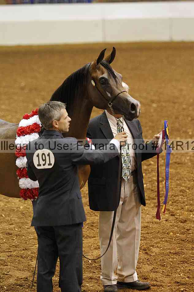 Proof 14r12_0509