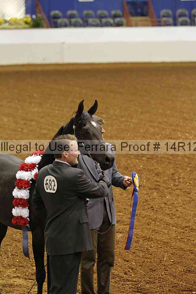 Proof 14r12_0809