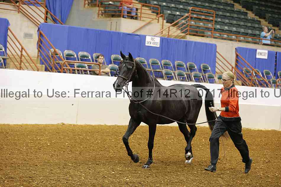 Proof 14r12_0717