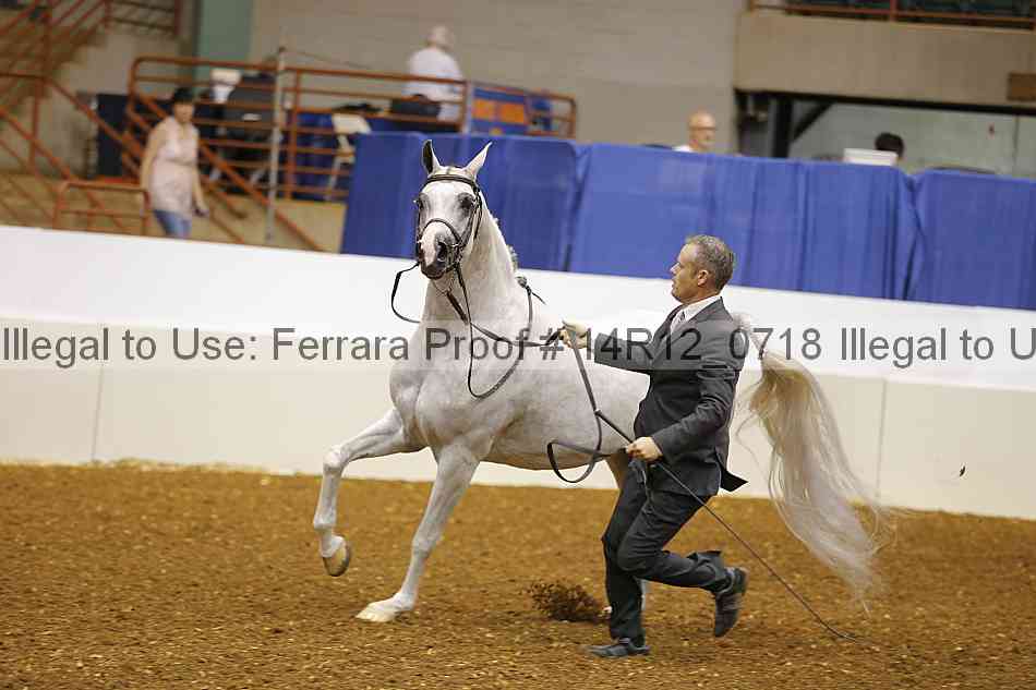 Proof 14r12_0718