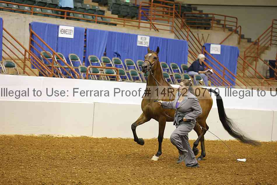 Proof 14r12_0719