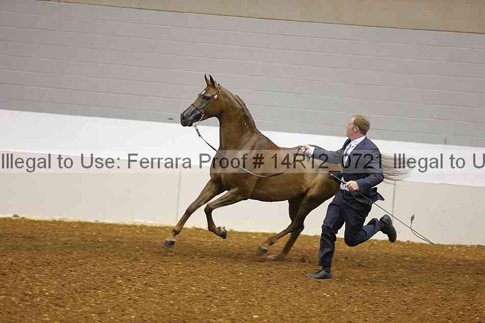 Proof 14r12_0721