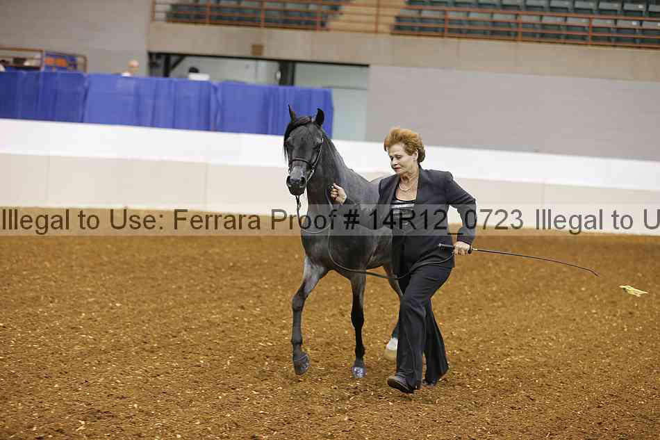 Proof 14r12_0723