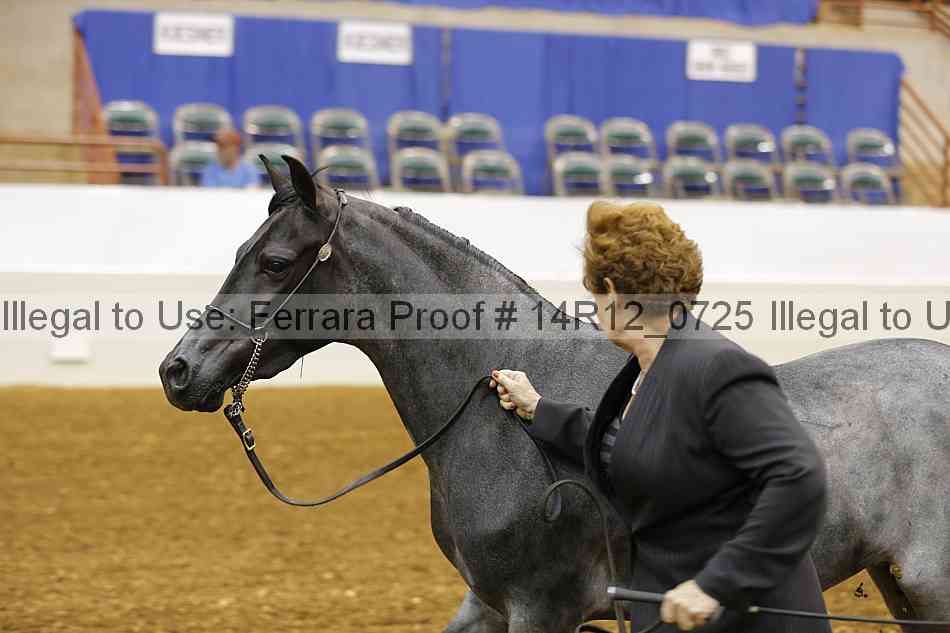 Proof 14r12_0725