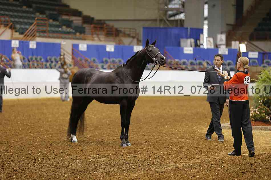 Proof 14r12_0728