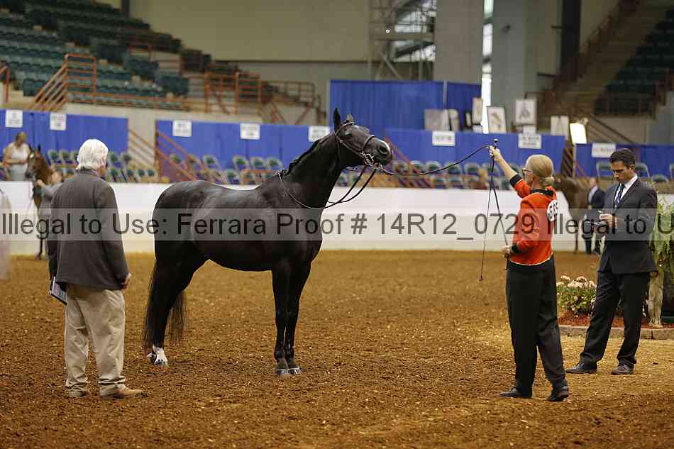 Proof 14r12_0729