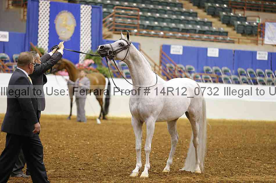 Proof 14r12_0732