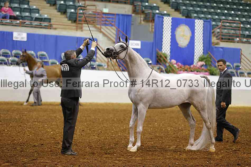 Proof 14r12_0733