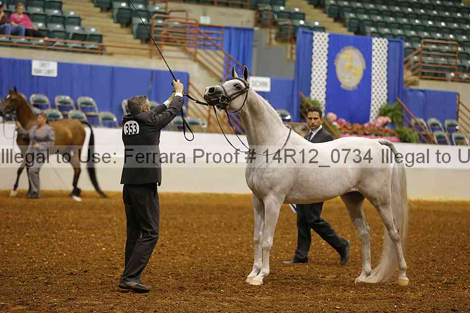 Proof 14r12_0734
