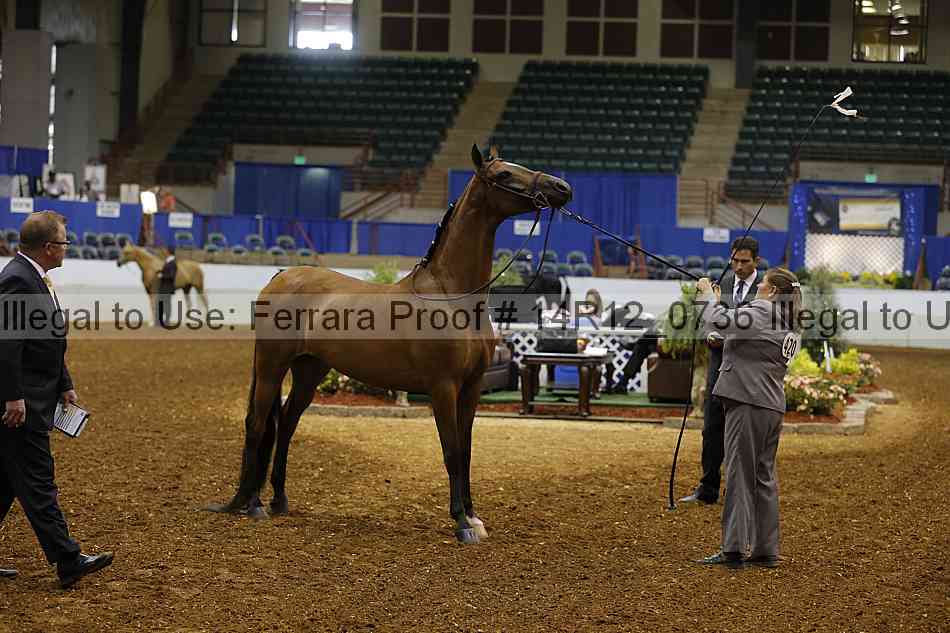 Proof 14r12_0736