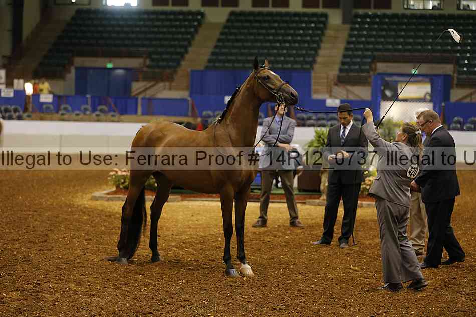 Proof 14r12_0737
