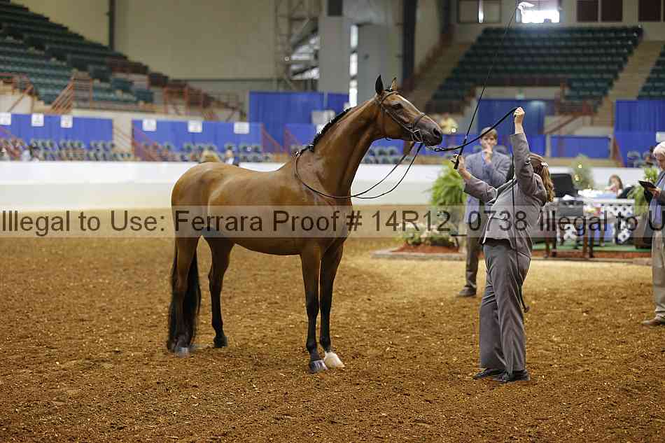 Proof 14r12_0738