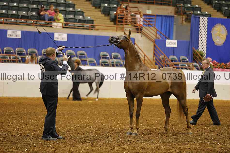 Proof 14r12_0739