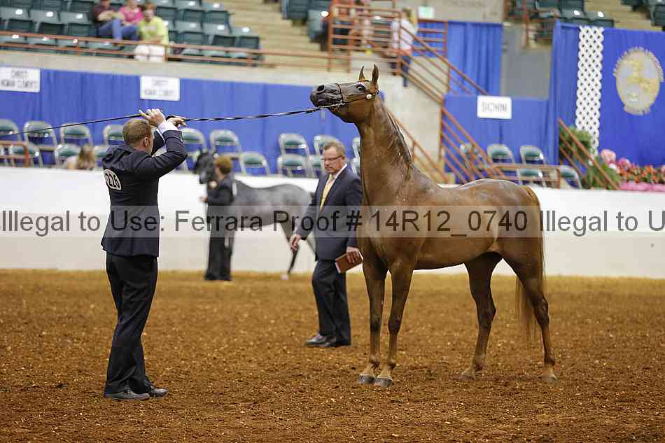 Proof 14r12_0740