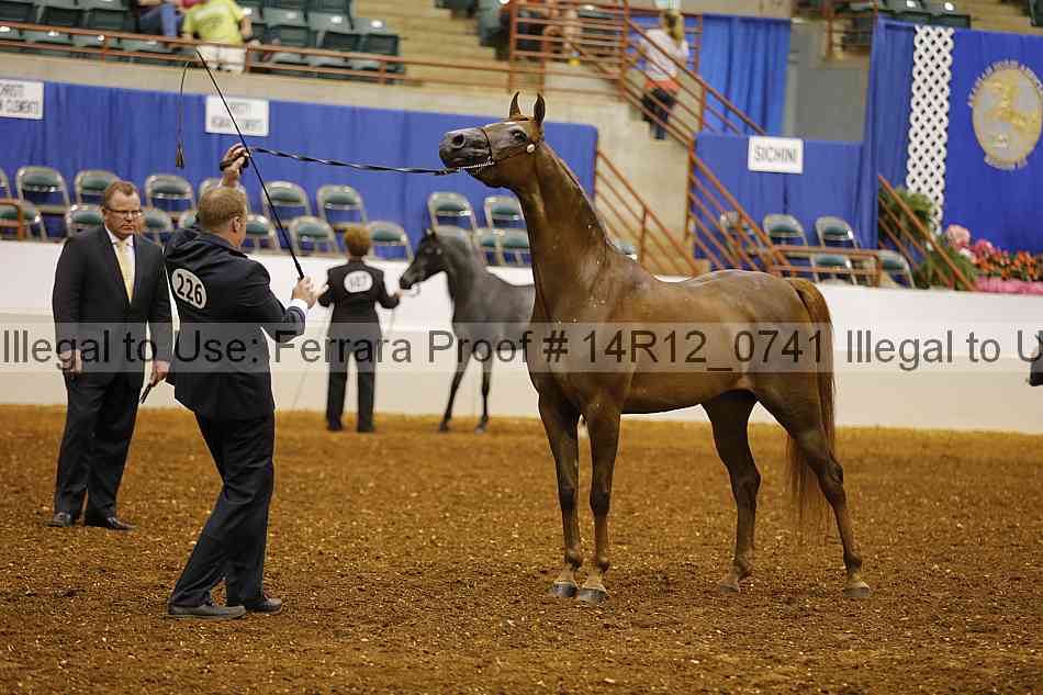 Proof 14r12_0741