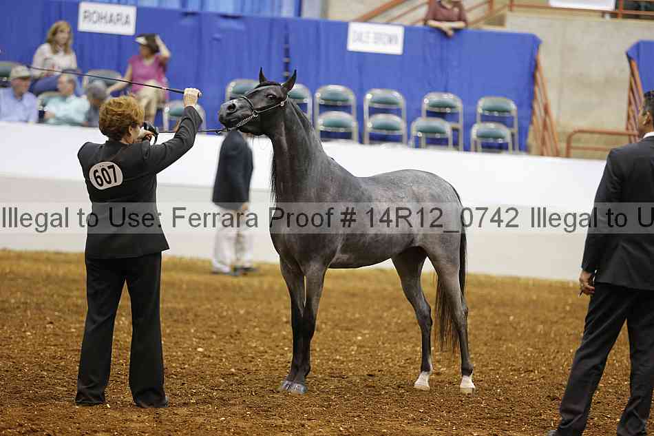 Proof 14r12_0742