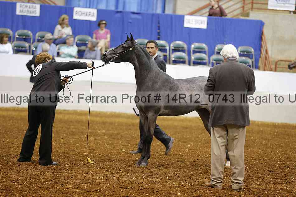 Proof 14r12_0743