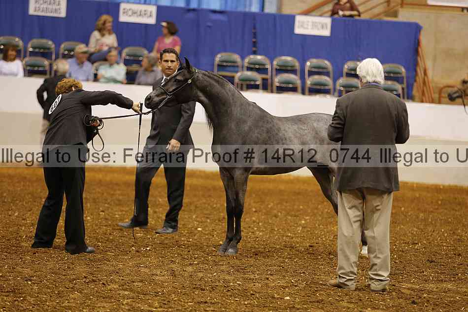 Proof 14r12_0744