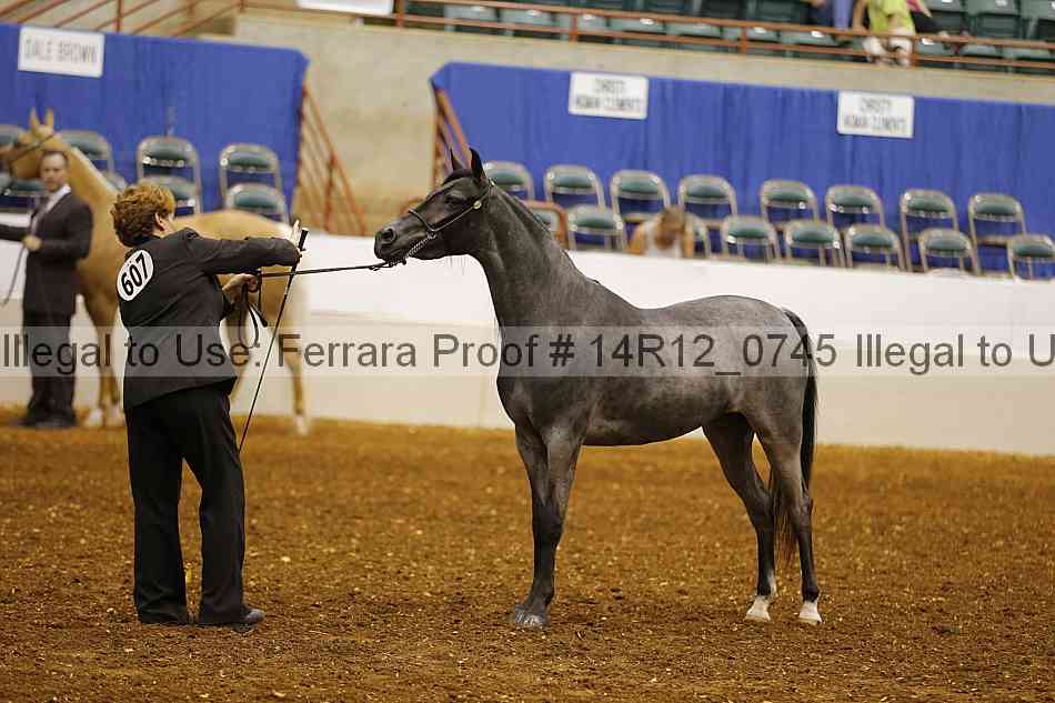 Proof 14r12_0745