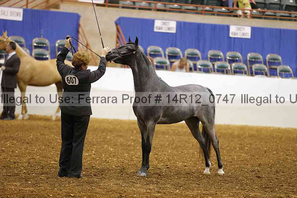 Proof 14r12_0747