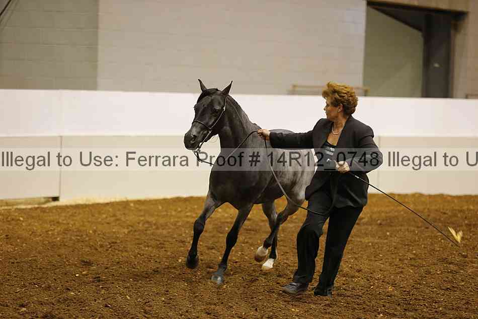 Proof 14r12_0748