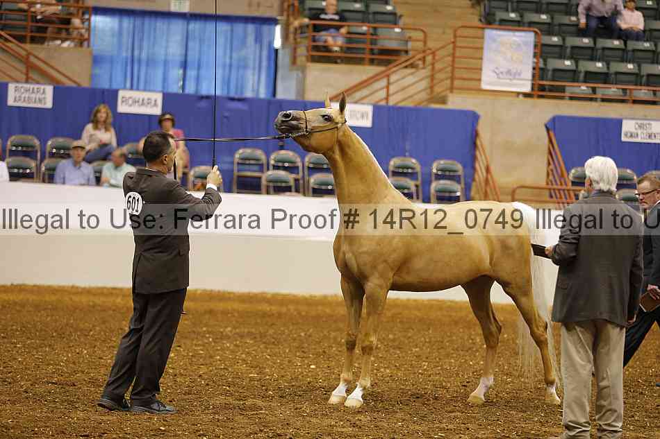 Proof 14r12_0749