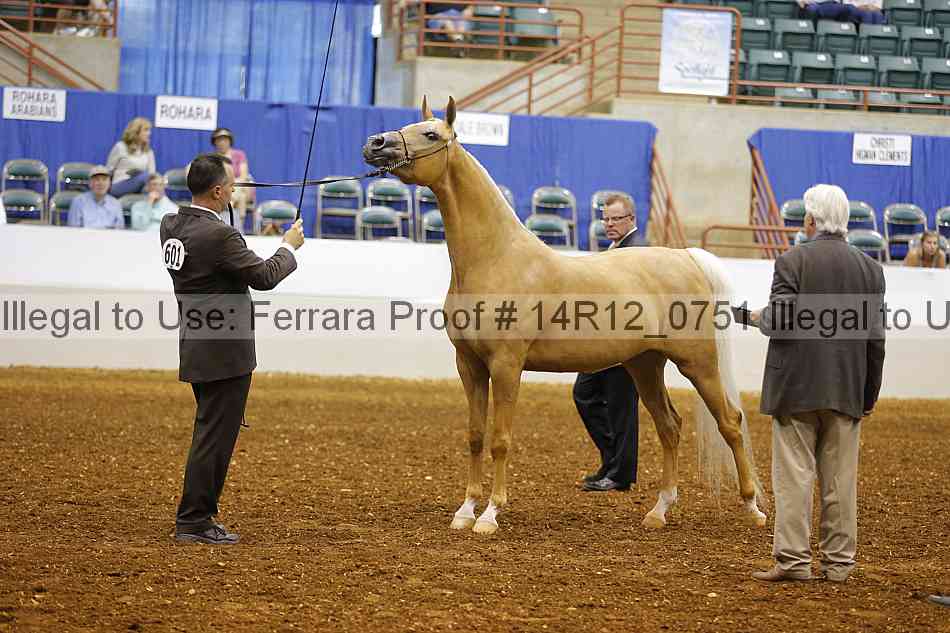 Proof 14r12_0751