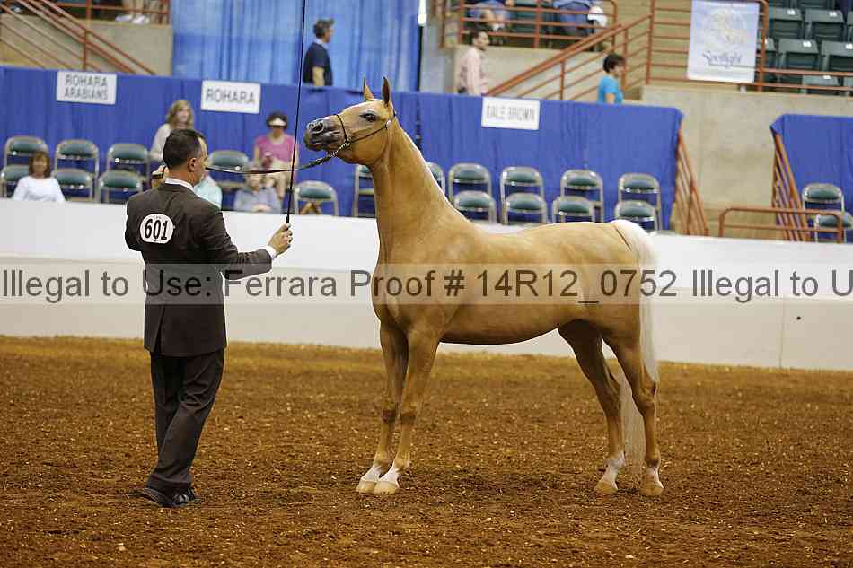 Proof 14r12_0752