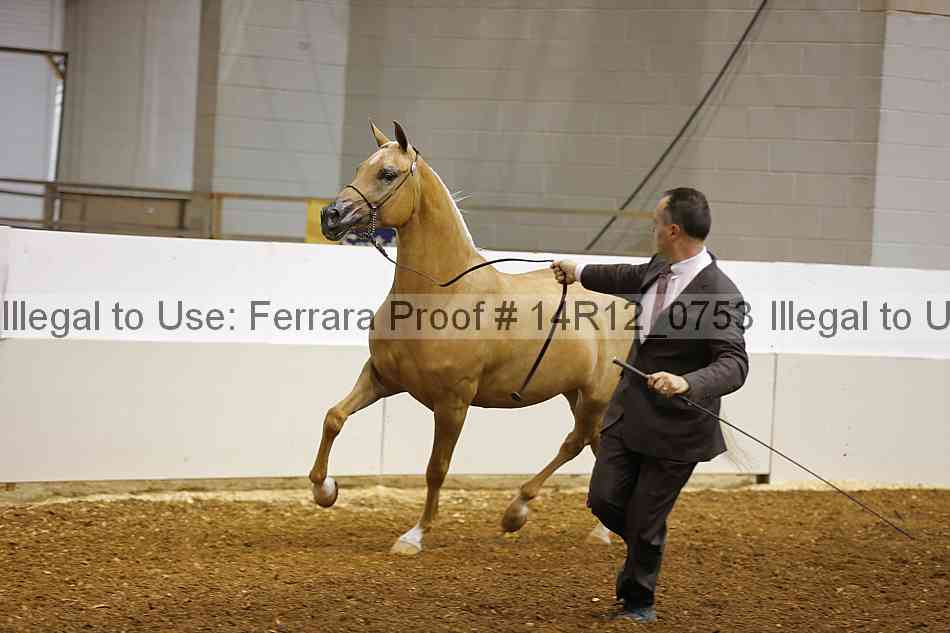 Proof 14r12_0753