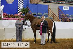 14r12_0758 proof
