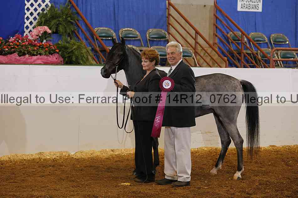 Proof 14r12_0762