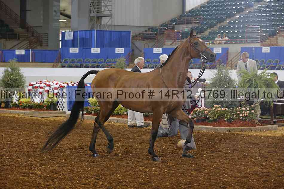 Proof 14r12_0769