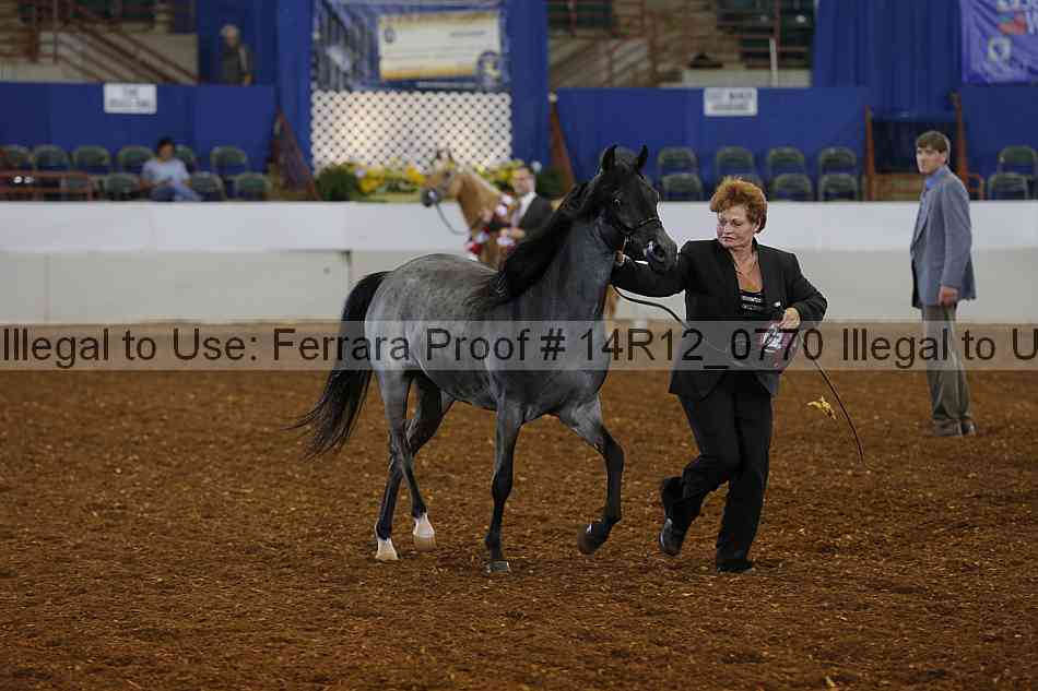 Proof 14r12_0770