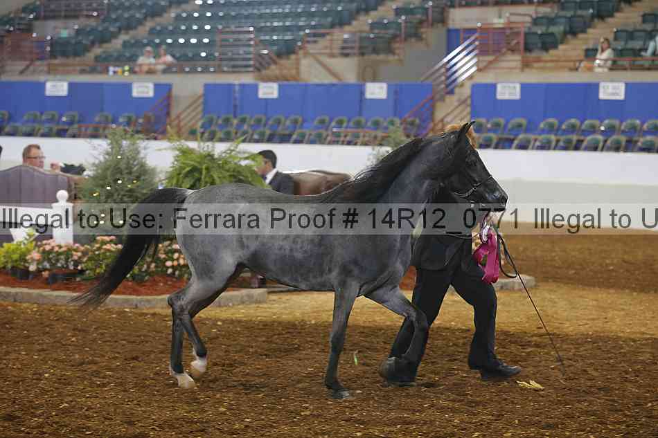 Proof 14r12_0771