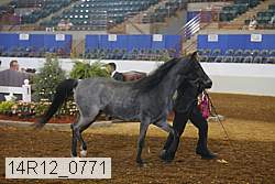14r12_0771 proof