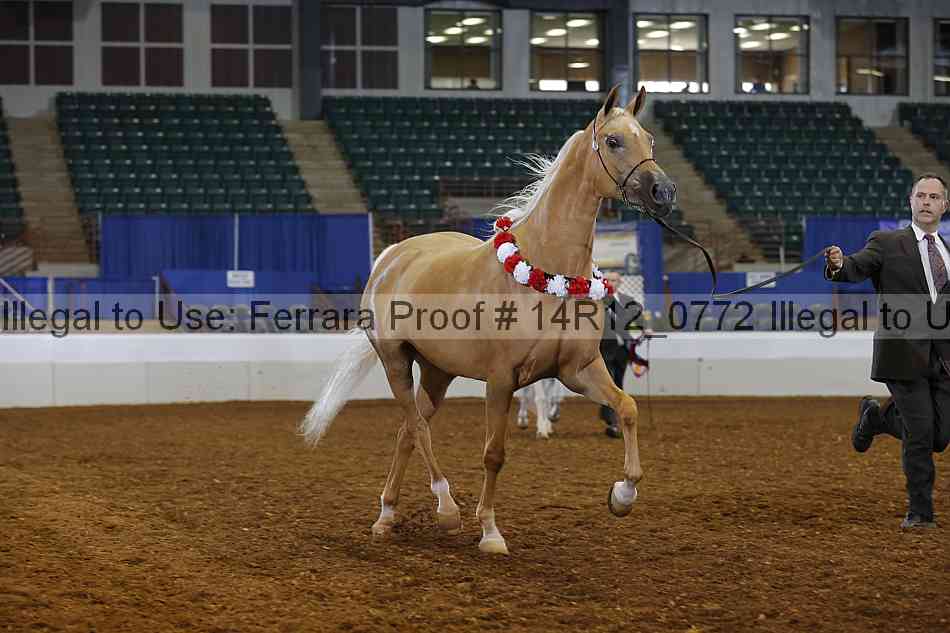 Proof 14r12_0772