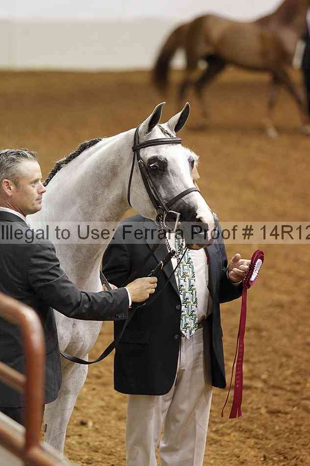 Proof 14r12_0813