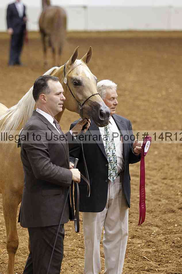 Proof 14r12_0816