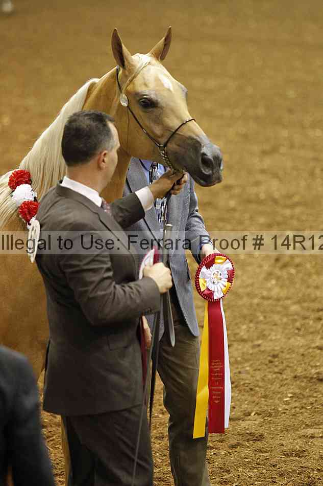 Proof 14r12_0819