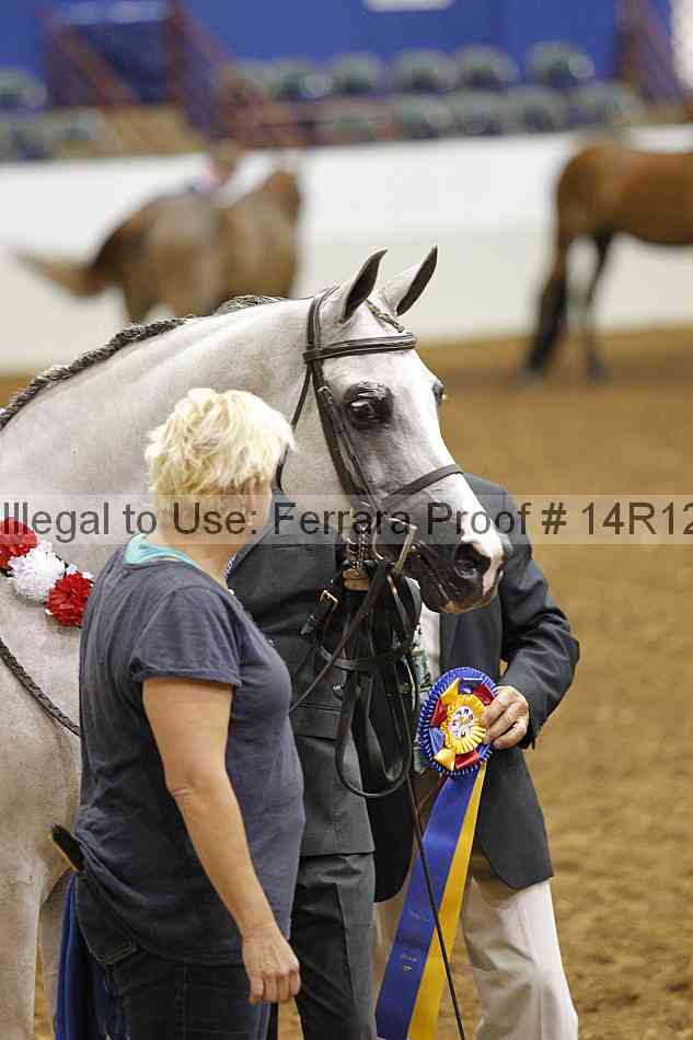 Proof 14r12_0822