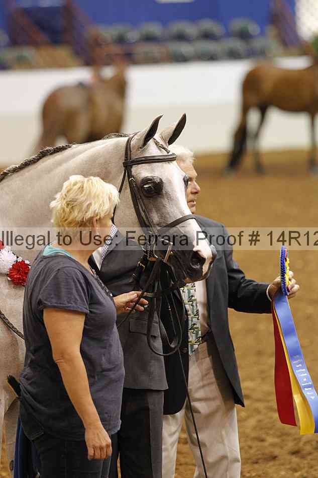 Proof 14r12_0823