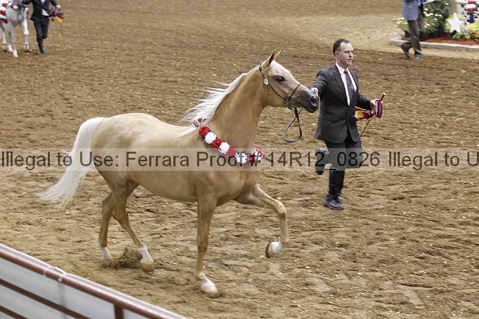 Proof 14r12_0826