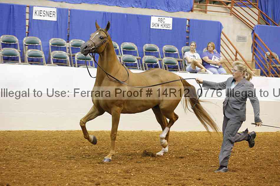 Proof 14r12_0776