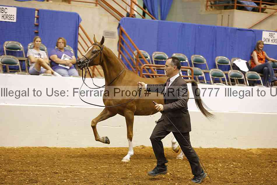 Proof 14r12_0777