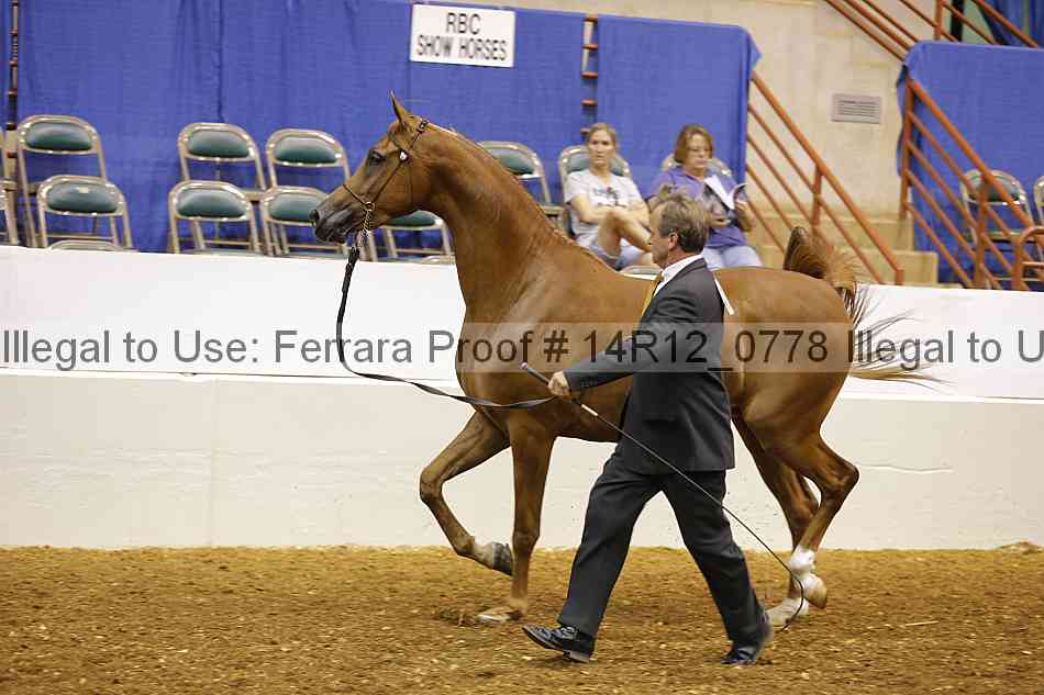 Proof 14r12_0778