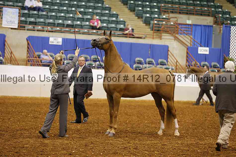 Proof 14r12_0781